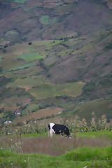 Paisaje de Tingo