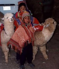 Nios y llamas cerca de Cusco, Cuzco