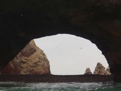 Islas Ballestas, Paracas