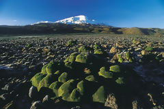 Valle de los Volcanes, Arequipa