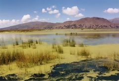 Lago Titicaca