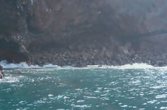 Islas Ballestas, Paracas