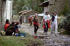 Llama Trek en Olleros