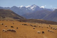 Camino a Moray. Urubamba